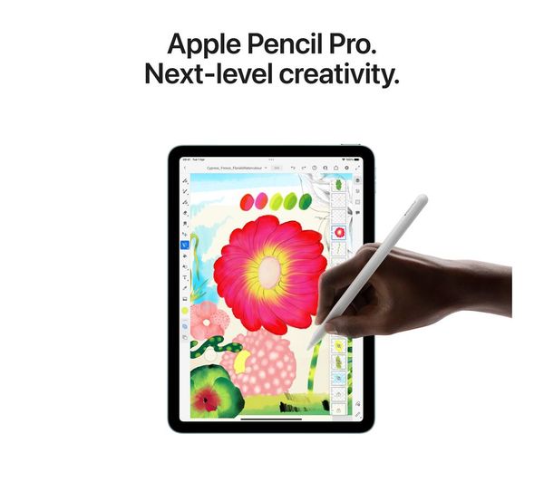 APPLE 13