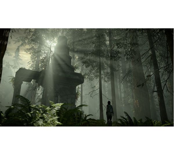 SONY Shadow of the Colossus Review