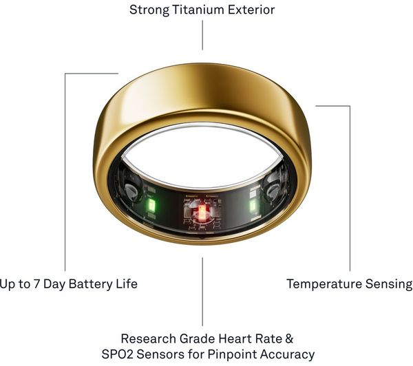 OURA Ring Gen3 Horizon - Gold, Size 9 - 000000000010311620