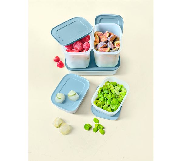 TUPPERWARE Freezer Mates 5-piece Starter Set - Frosted with Blue