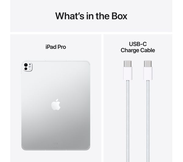 APPLE 13