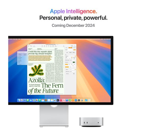 ミニPC Apple Mac mini M4 Pro Apple Mac Mini MCX44B/A, M4 Pro Chip, 24GB RAM, 512GB SSD