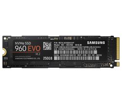 SAMSUNG 960 Evo Internal SSD - 250 GB