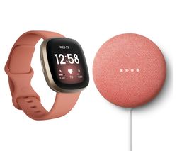 fitbit mini
