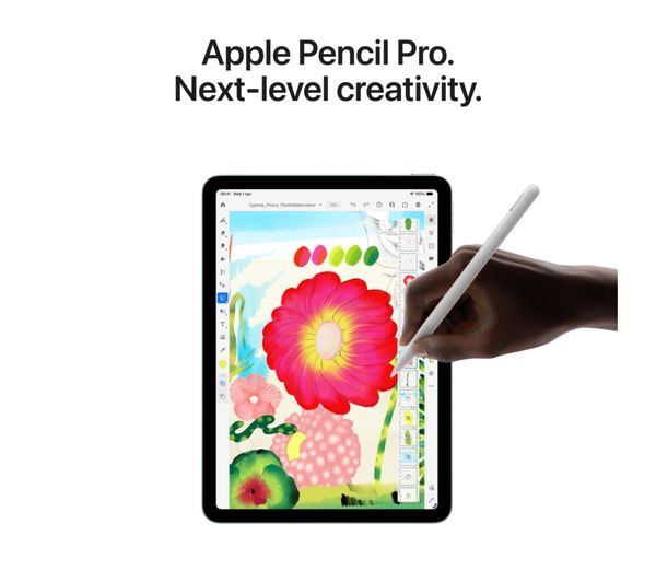 APPLE 13