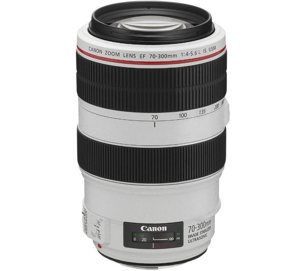 Canon EF 70-300 mm f/4-5.6L USM IS Telephoto Zoom Lens