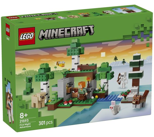 An image of LEGO Minecraft 21593 First Night Adventure Set