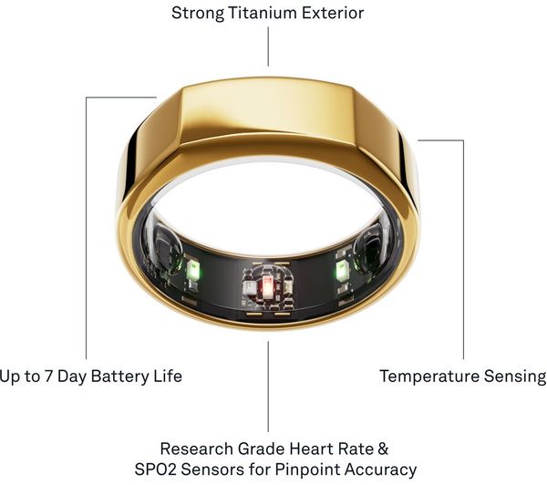 OURA RING3 GOLD 9サイズ OURA RING3 GOLD 9サイズ Oura Ring Gen3 - Horizon - Size 9