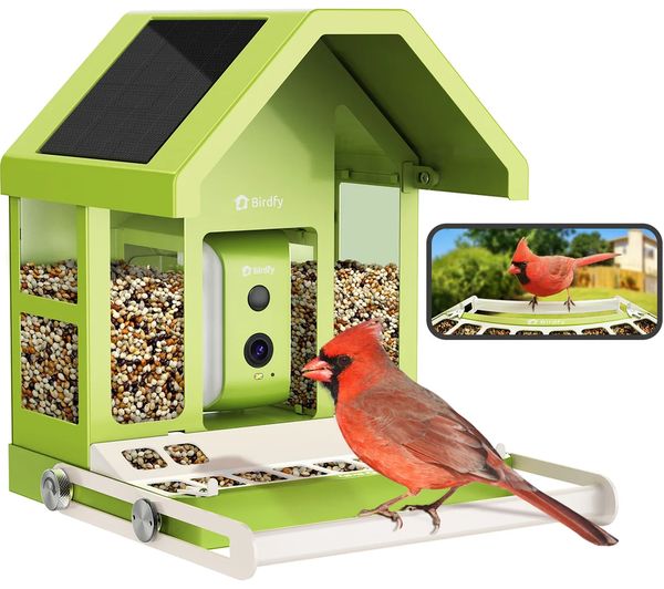 BIRDFY Smart Camera Bird Feeder with Solar Roof - Metal