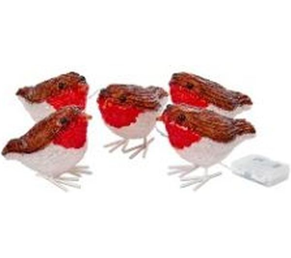 Smart Garden Inlit Ice Robin Lights Set Of 5